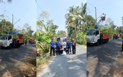 Dishub dan Damkar Kabupaten Magelang Berkolaborasi Tangani Gangguan LPJU Akibat Sarang Tawon di Kebonrejo Candimulyo